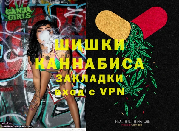 индика Алзамай